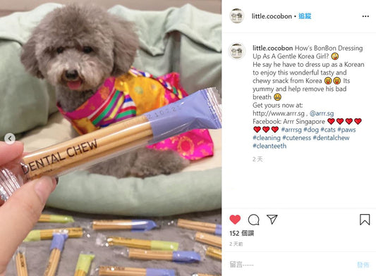 Tasty Snack to Remove Bad Breath | arrr Dental Chew Review by little.cocobon