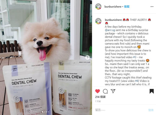 Furkids who hate vegetables? No problem! | arrr Dental Chew Review by bunbunishere