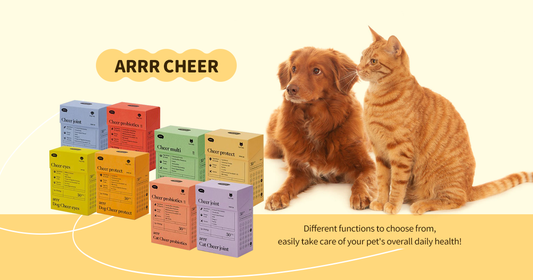 You know supplements can help your pets, but how old do they need to start? Which one is better to absorb?