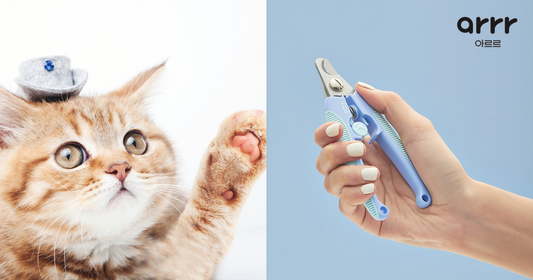 Bleed everytime? โ3 simple tipsโ to cutting your petโs nails at home!