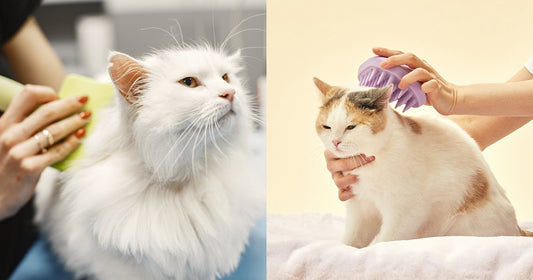 🅽🅴🆆 Arrr Grooming brush for everyday grooming | Types of brushes compared 🐾
