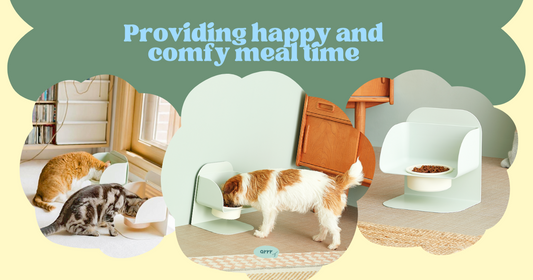 Your dog will be eating in chic comfort with the newly launched Arrr Yummy pet bowl ๐ฅฃ