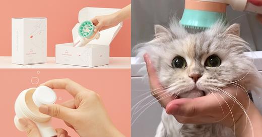 Full body massage + bubble carbonated SPA! "Makes your pet's bathing time happier ❤️ Avoid 3 mistakes first~