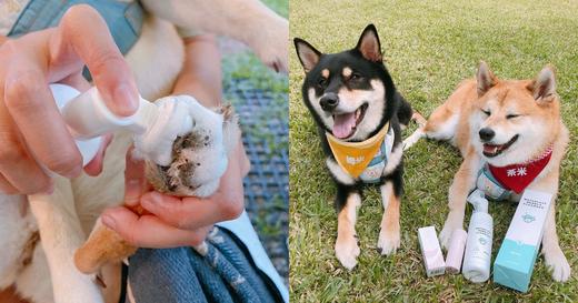 Super easy 3 steps to keep your furry friend feet clean and scented in 5 mins✨🐶