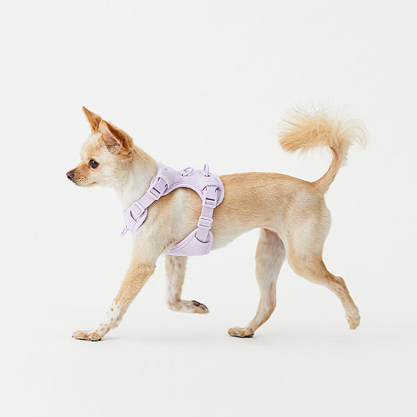 Macaron Harness Ver.2 (NEW!)