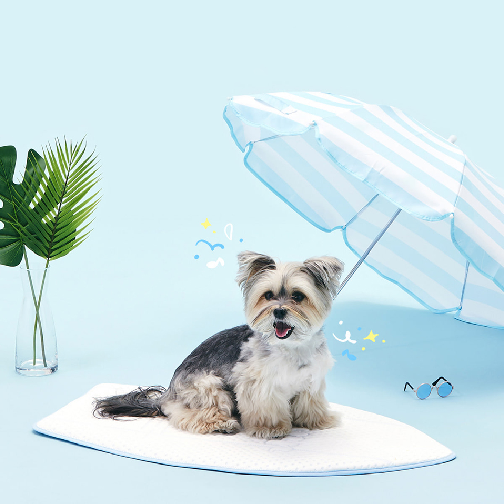 Coolsum Surfing Mat