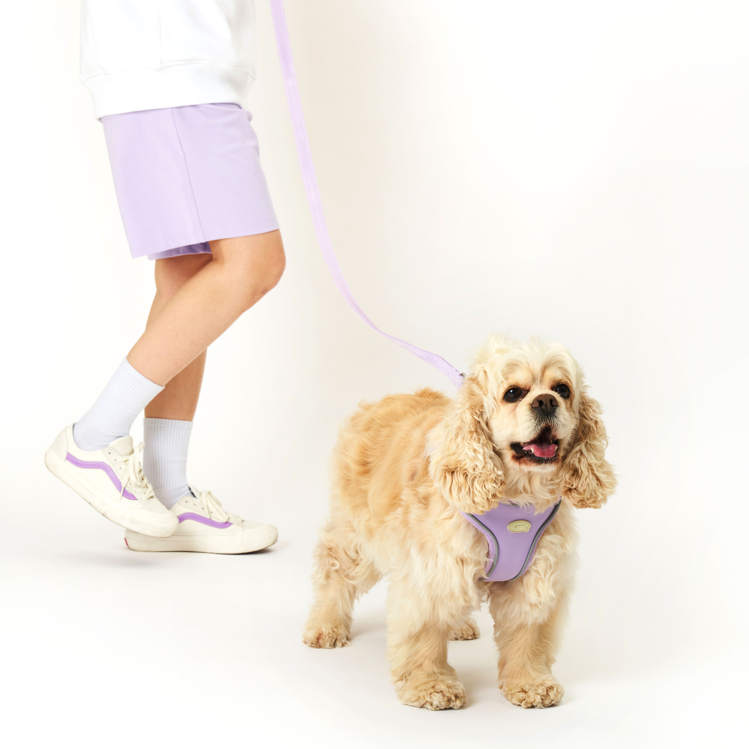 myfit Safety Leash