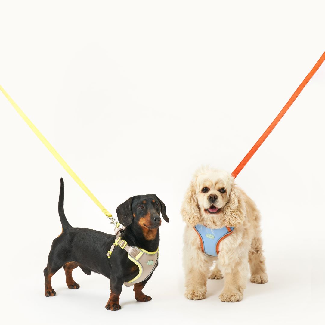 myfit Safety Leash