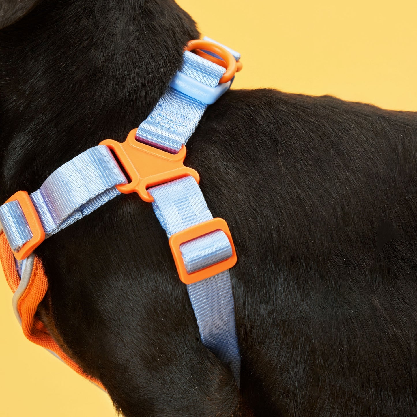 myfit Safety Harness
