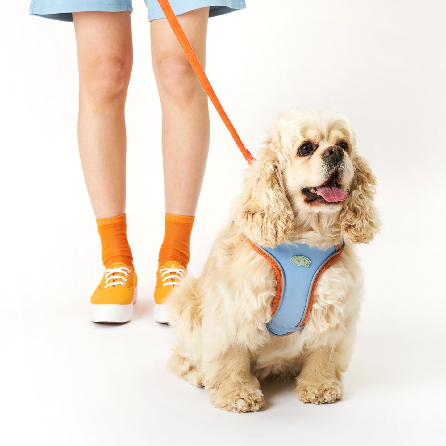 myfit Safety Harness