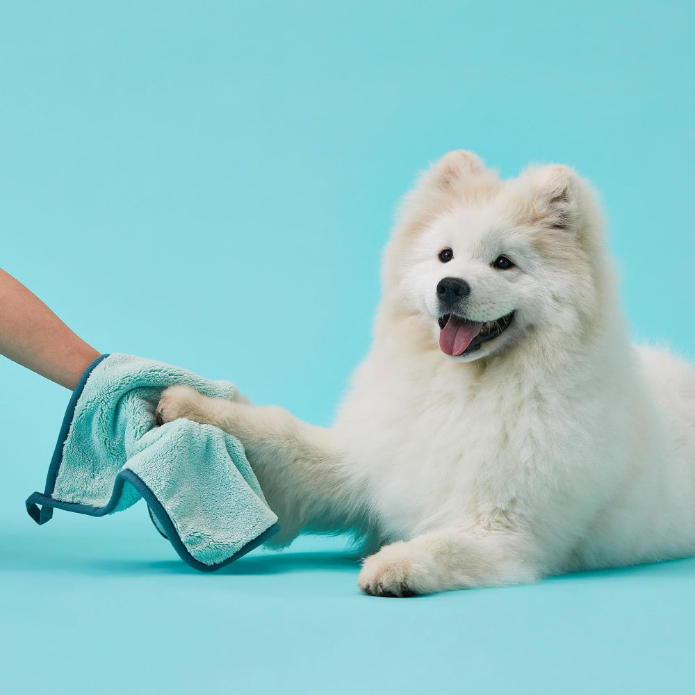 arrr Excellent water absorption fluffy pet towel. Paw cleaning towel. Speed up drying, streamline showers, and come in three sizes for all pet needs. S, M & L