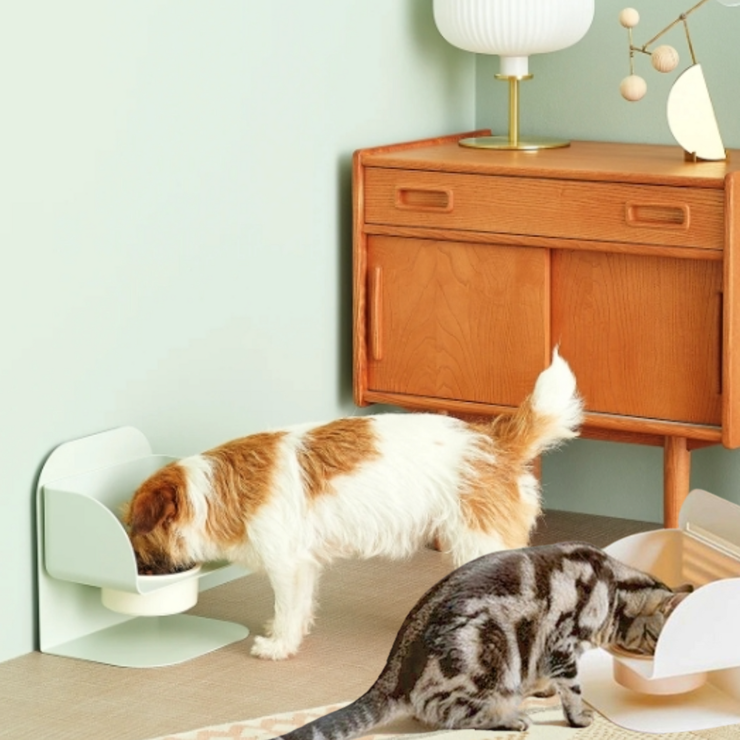 Yummy pet bowl