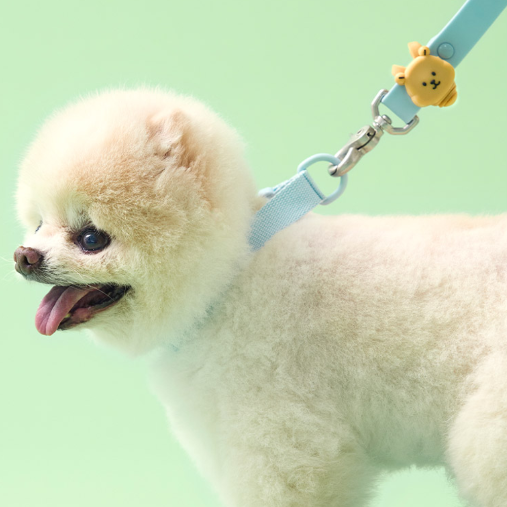 Light Up Buzz-free Clip | Clip Refill • For dog only (NEW!)