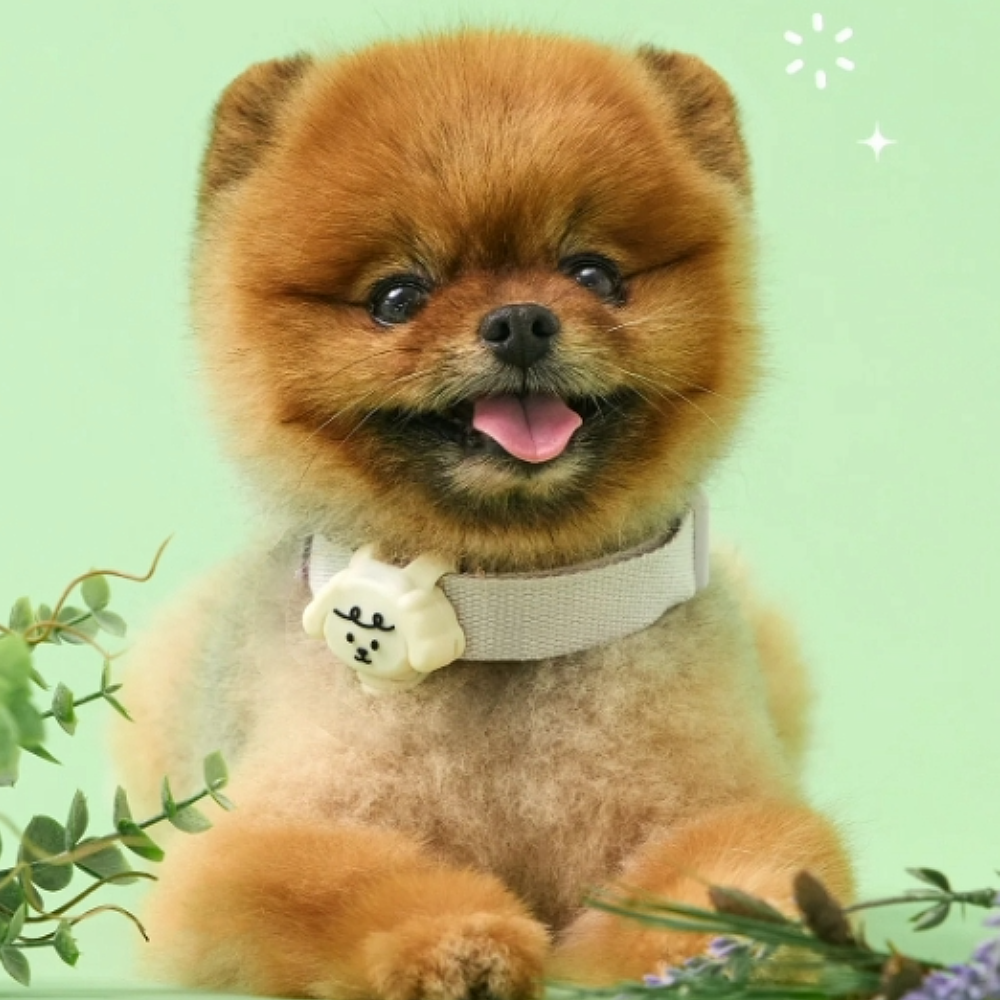 Light Up Buzz-free Clip | Clip Refill • For dog only (NEW!)