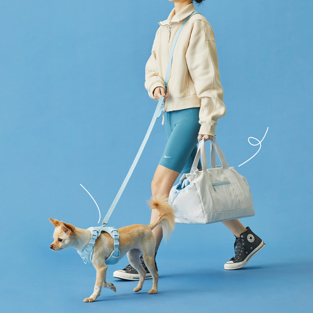 Macaron Leash Ver.2