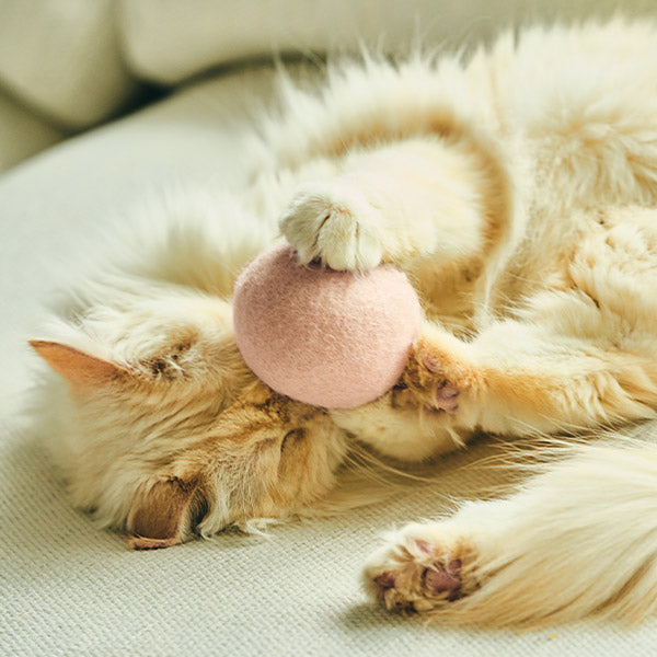 Macaron Cat Toy Ball | 100% natural New Zealand Wool