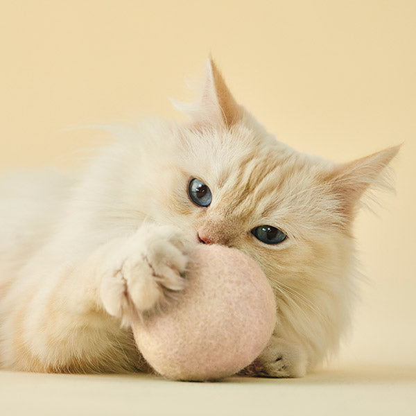 Macaron Cat Toy Ball | 100% natural New Zealand Wool