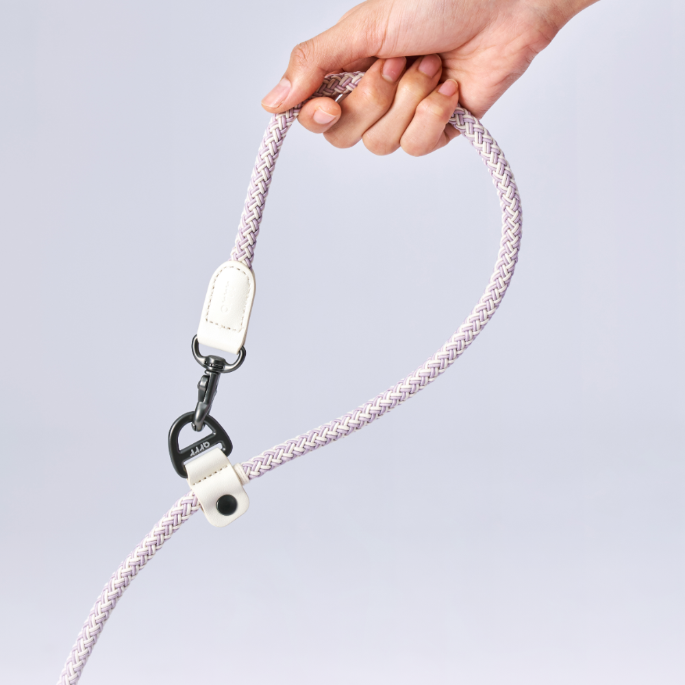 Bouncing Leash