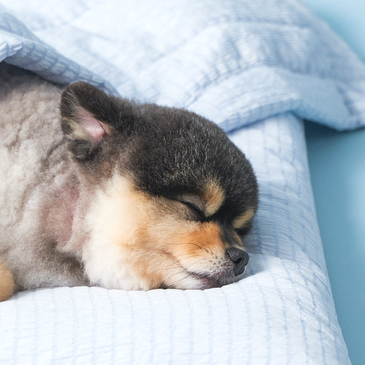 Cooling Blanket | Blanket Cover
