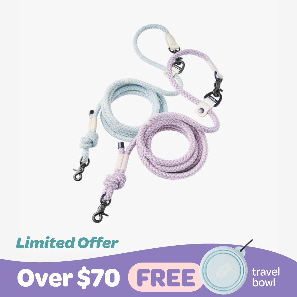 Buzz Free Mist