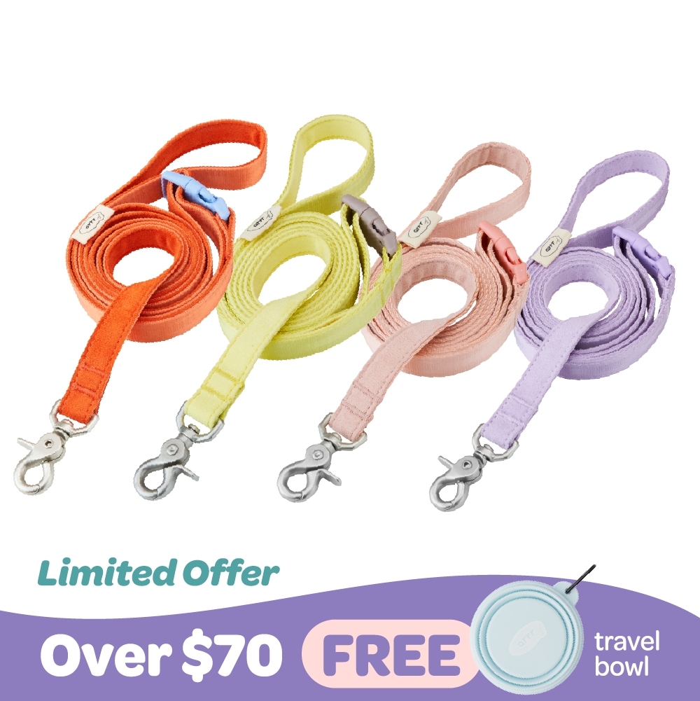 Dental Chew (Large Package)
