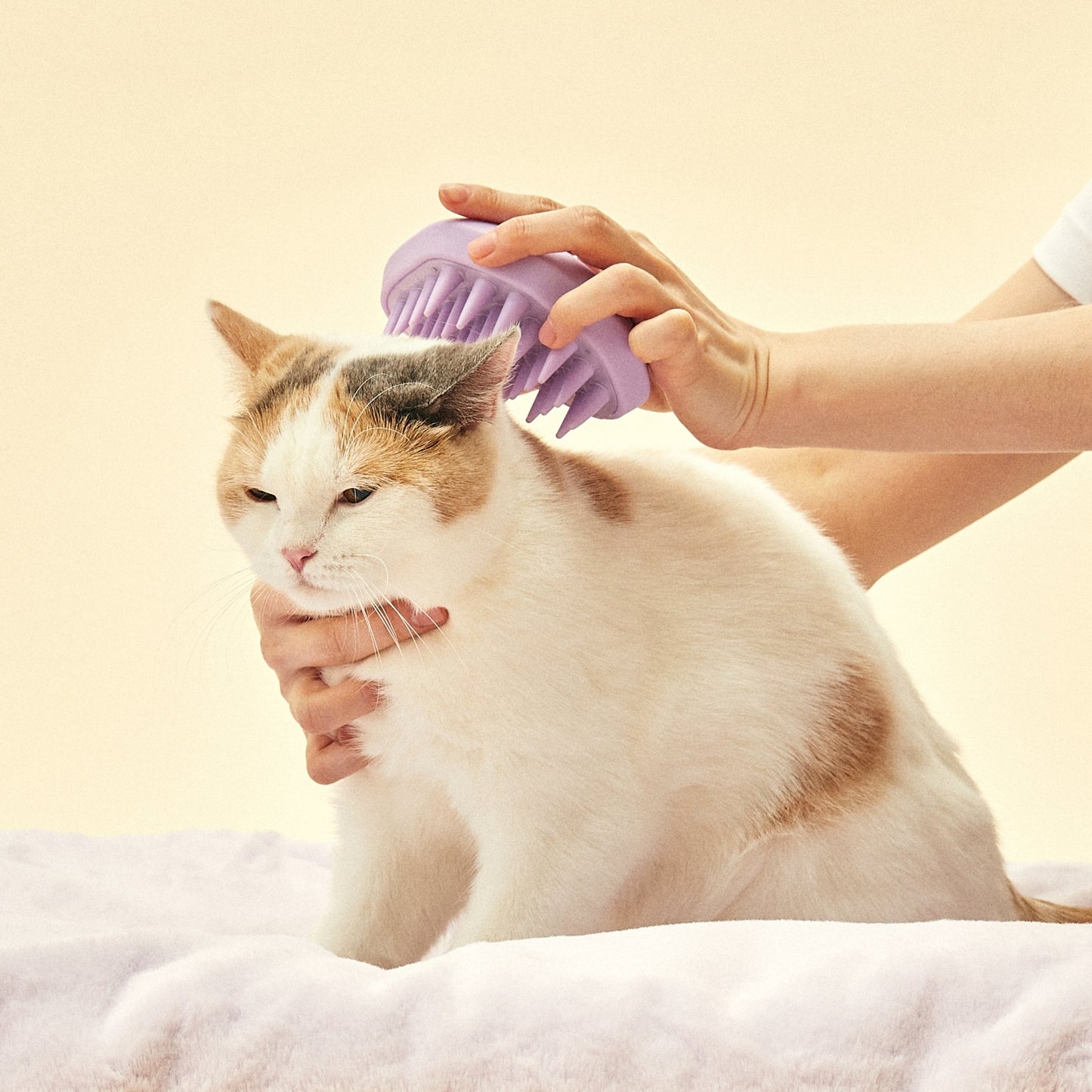 Korea-made pet grooming brush for cats. 100% natural rubber brush removes loose hair and tangles gently, while the curved design provides a stable grip. The stylish purple color adds a touch of flair to grooming time.