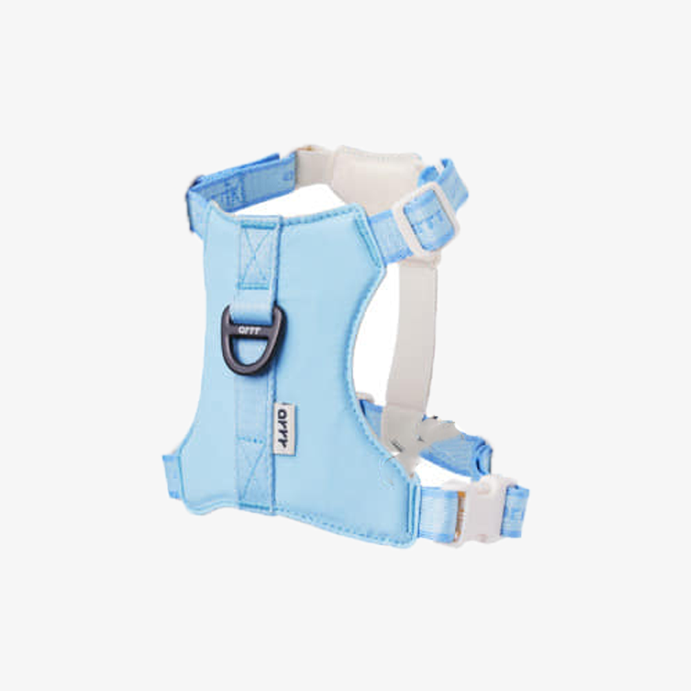 Bouncing Harness