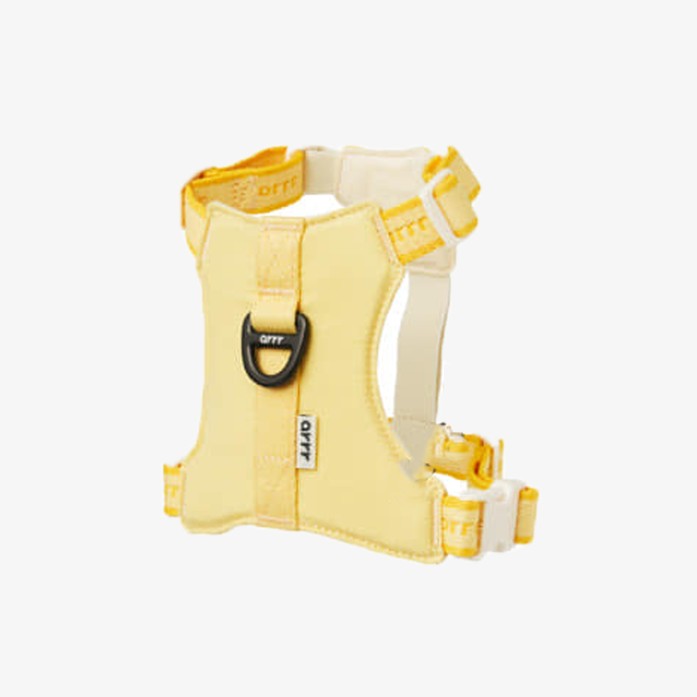 Bouncing Harness