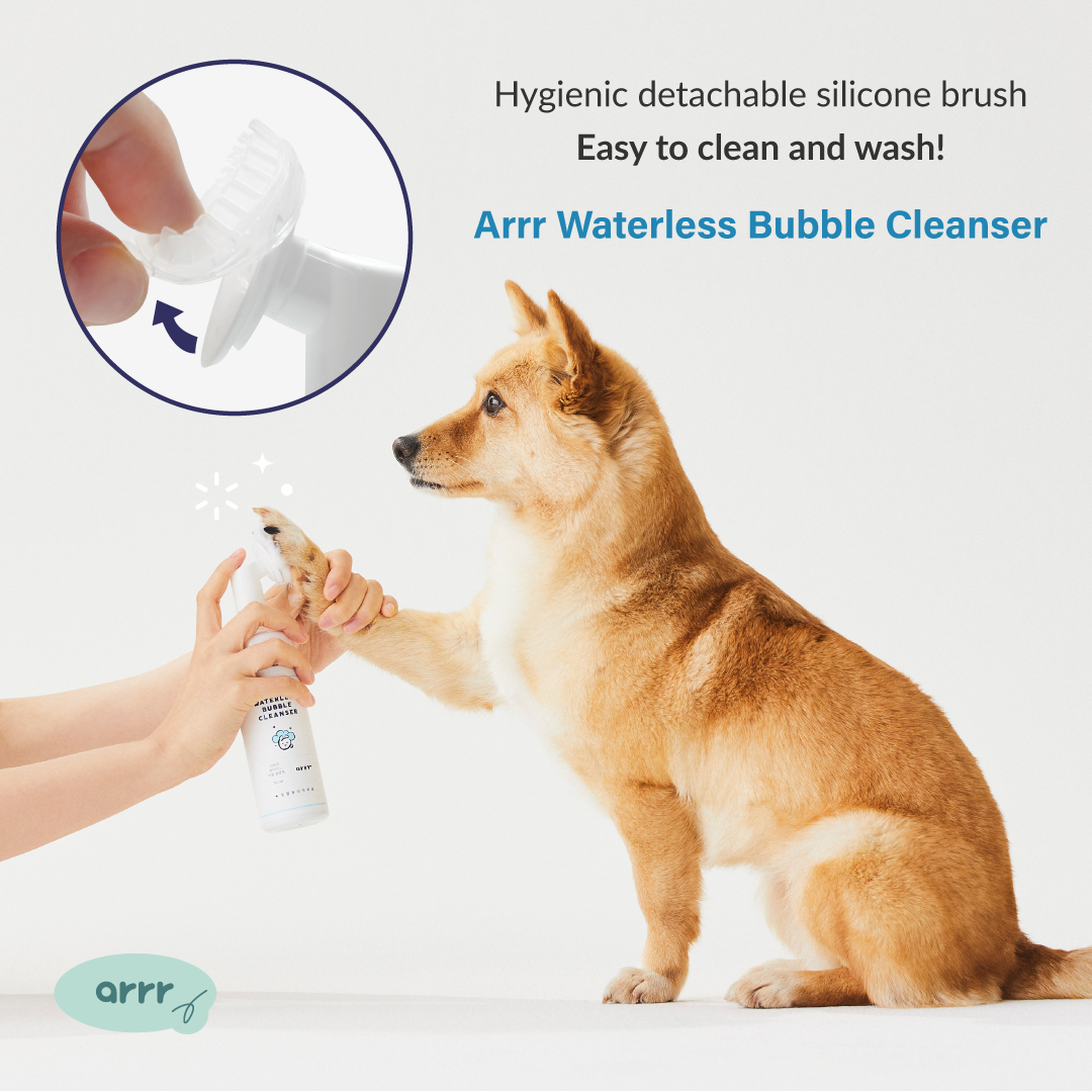 Waterless Bubble Cleanser | Bubble Cleanser Refill