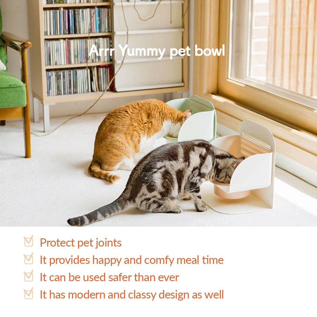 Yummy pet bowl