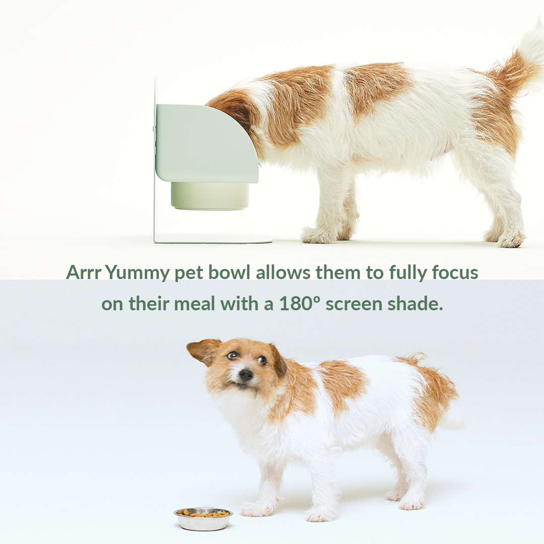 Yummy pet bowl