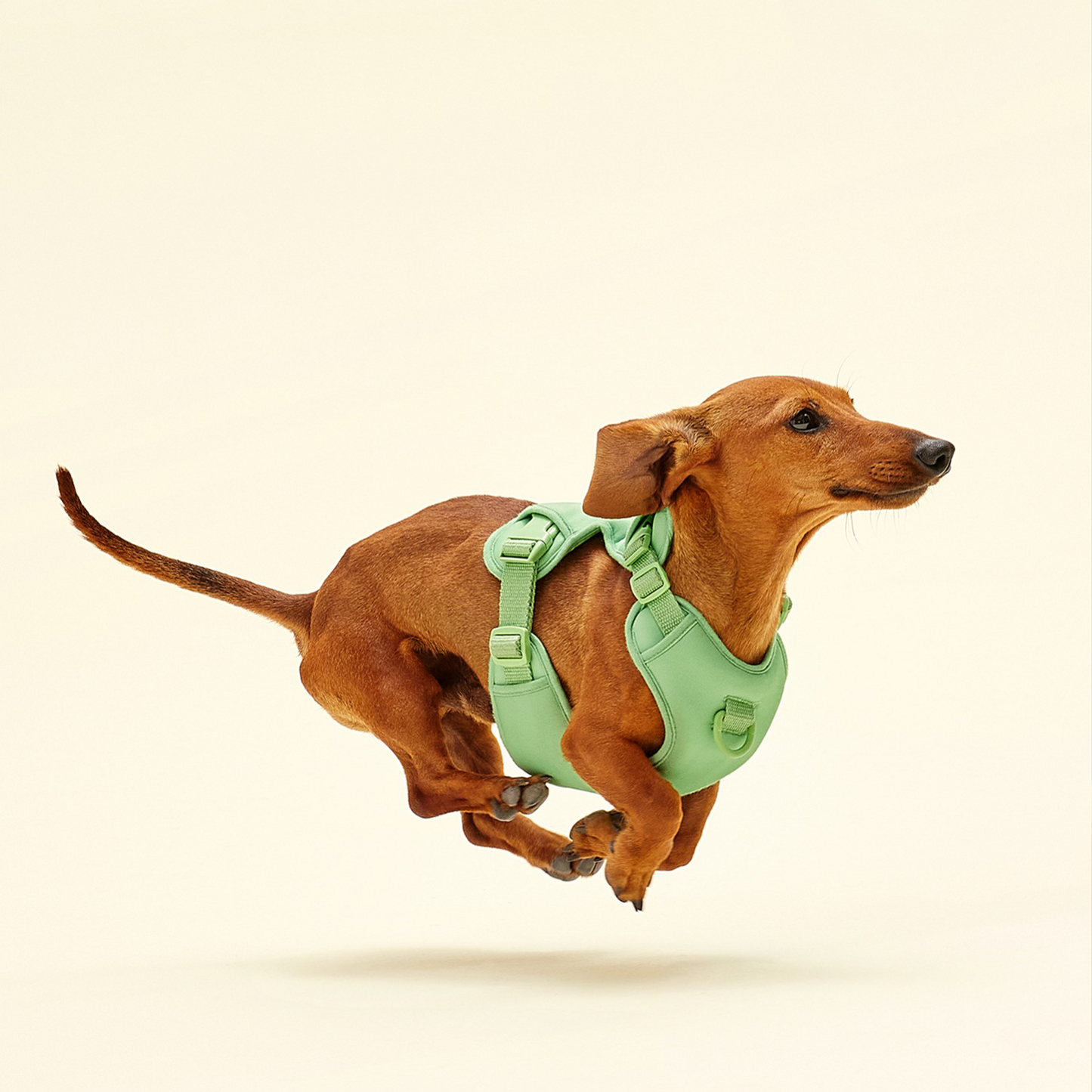 arrr Adjustable chest harness provides a perfect body shape fit while reducing chest compression, made of EVA material, which is super light, soft, and shock-absorbing!