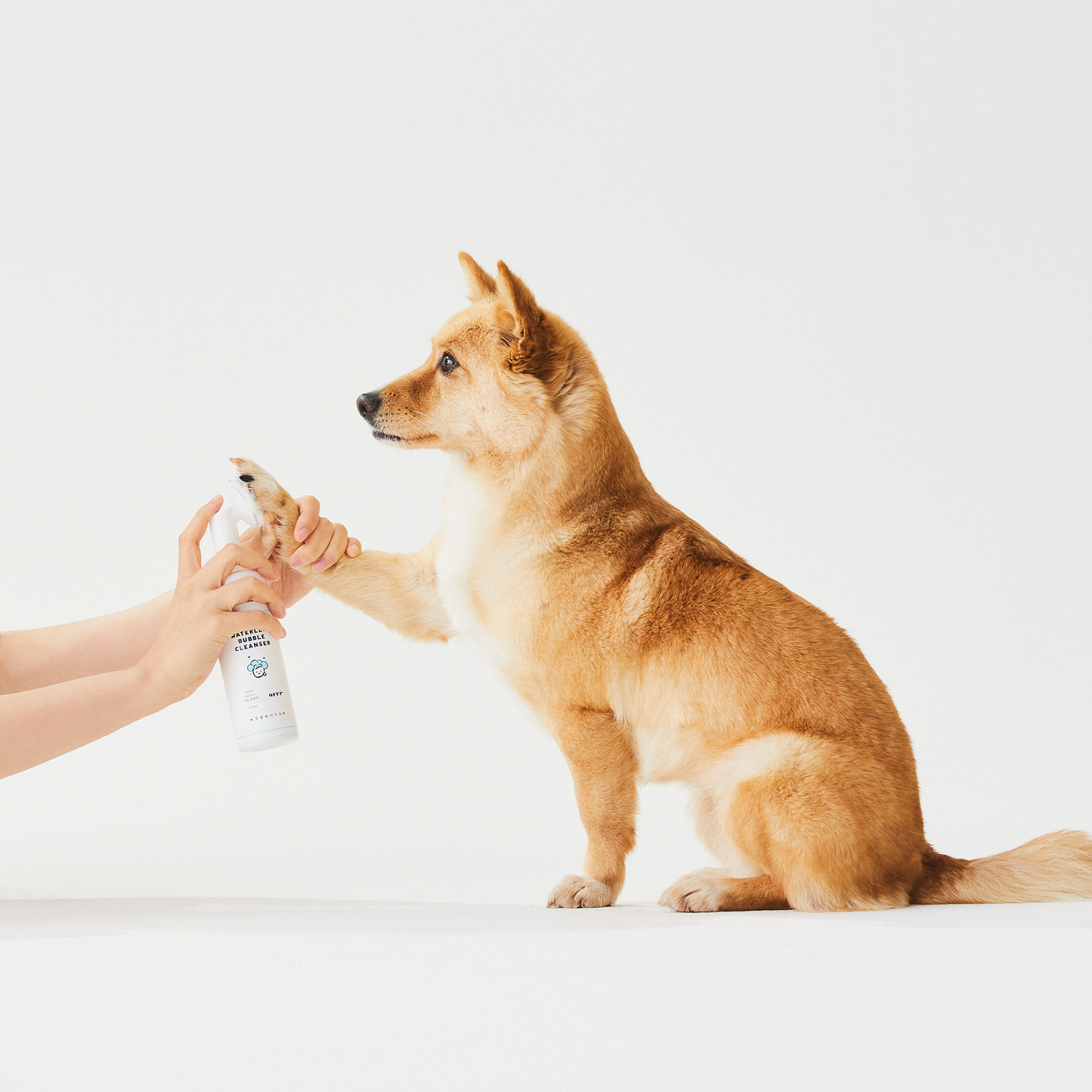 Arrr Waterless Bubble Cleanser for paws cleansing and has a delightful scent. Safe formula removes dirt easily and makes it ideal for a quick wash after a walk.