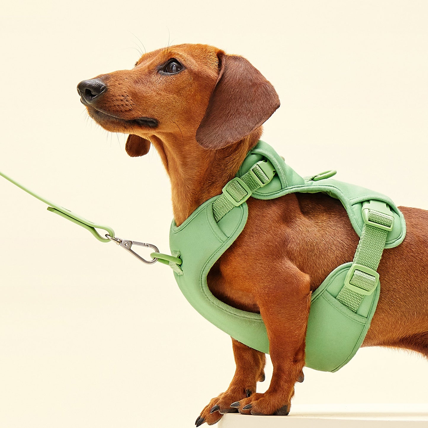arrr Adjustable chest harness provides a perfect body shape fit while reducing chest compression, made of EVA material, which is super light, soft, and shock-absorbing!