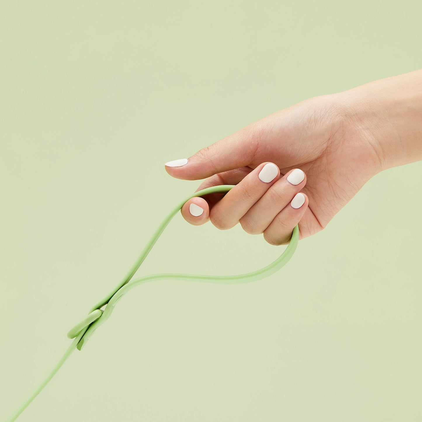 Macaron Leash