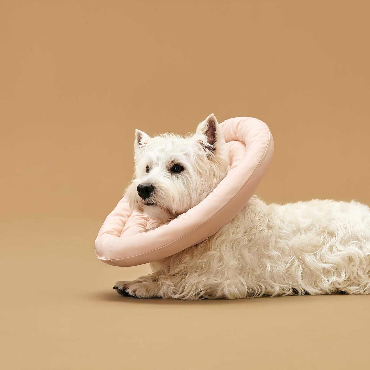 ARRR Comfy UFO Pet Recovery Collar, Water-Resistant Soft Adjustable Protective Dog Neck Donut E-Collar for Small and Medium Dogs and Cats.