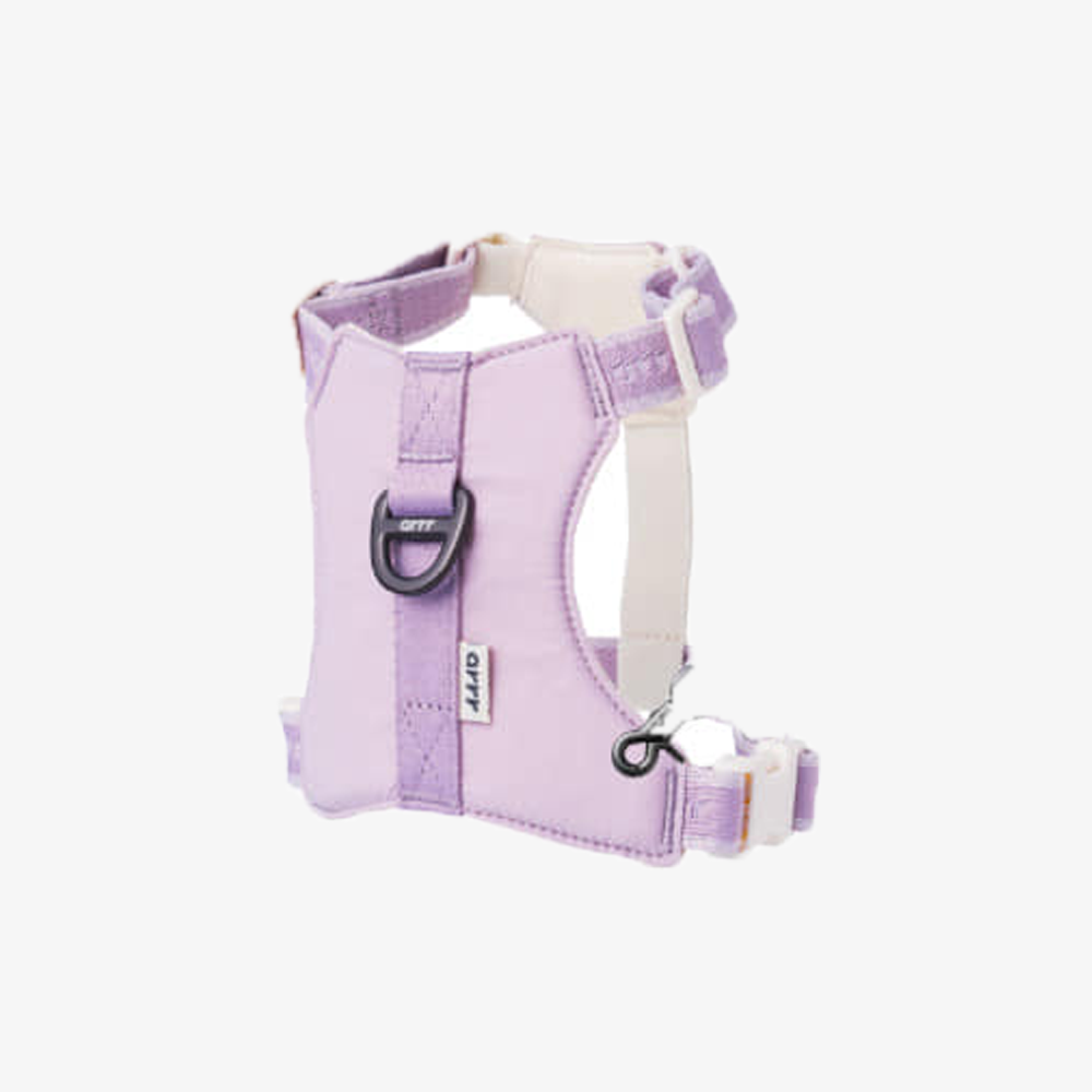 Bouncing Harness