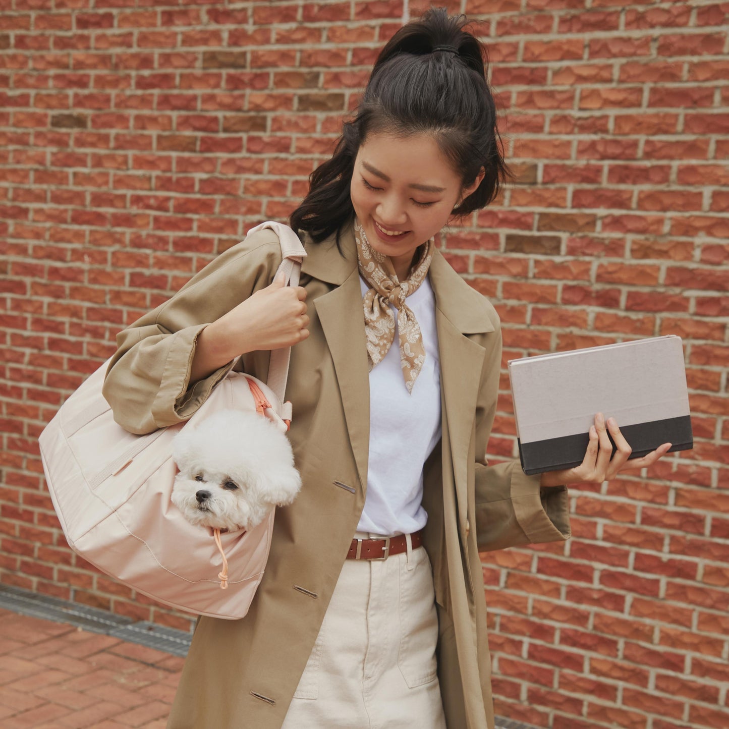 arrr Macaron Po-ong Bag (Pet Carrier) with dual use as an outgoing bag and portable cushion. Keep your pet safe and comfortable during outdoor activities. In Misty Rose colour.