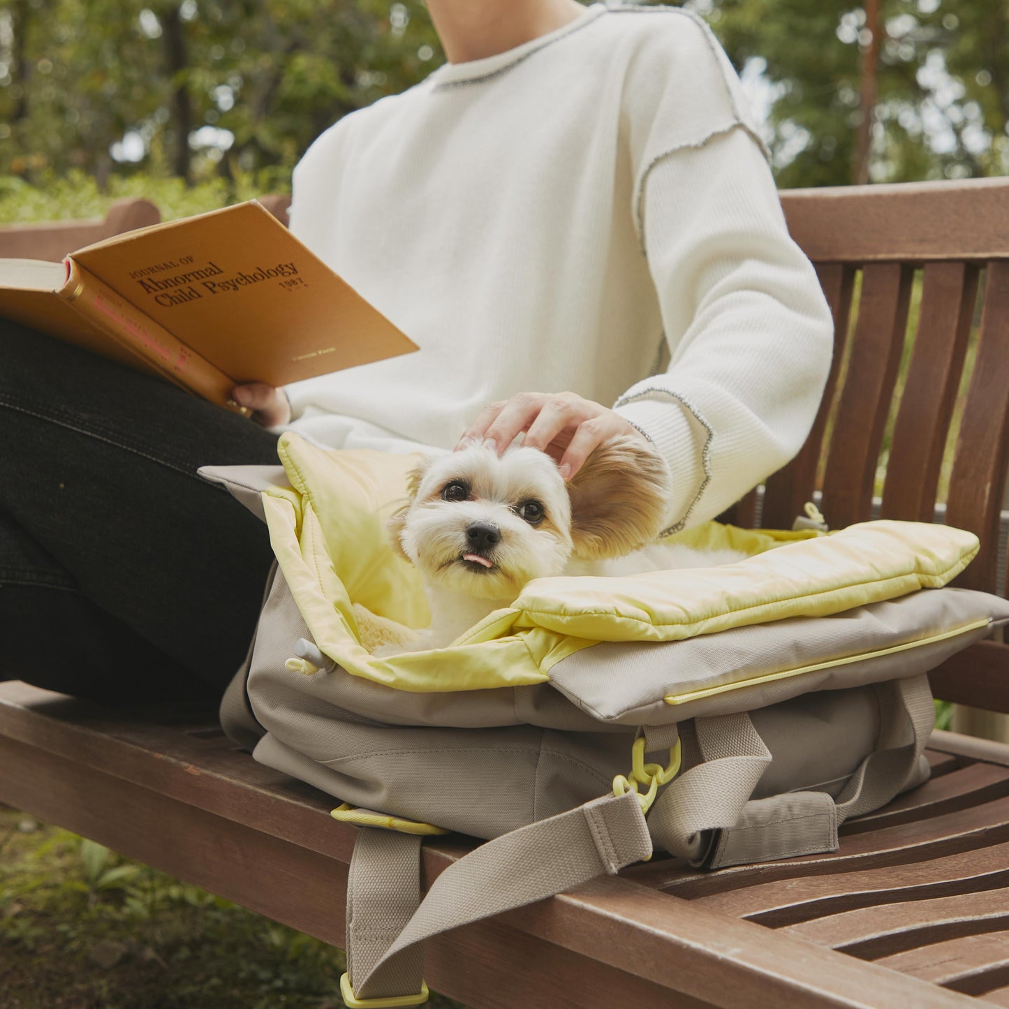 arrr Macaron Po-ong Bag (Pet Carrier) with dual use as an outgoing bag and portable cushion. Keep your pet safe and comfortable during outdoor activities. In Moon Grey colour.