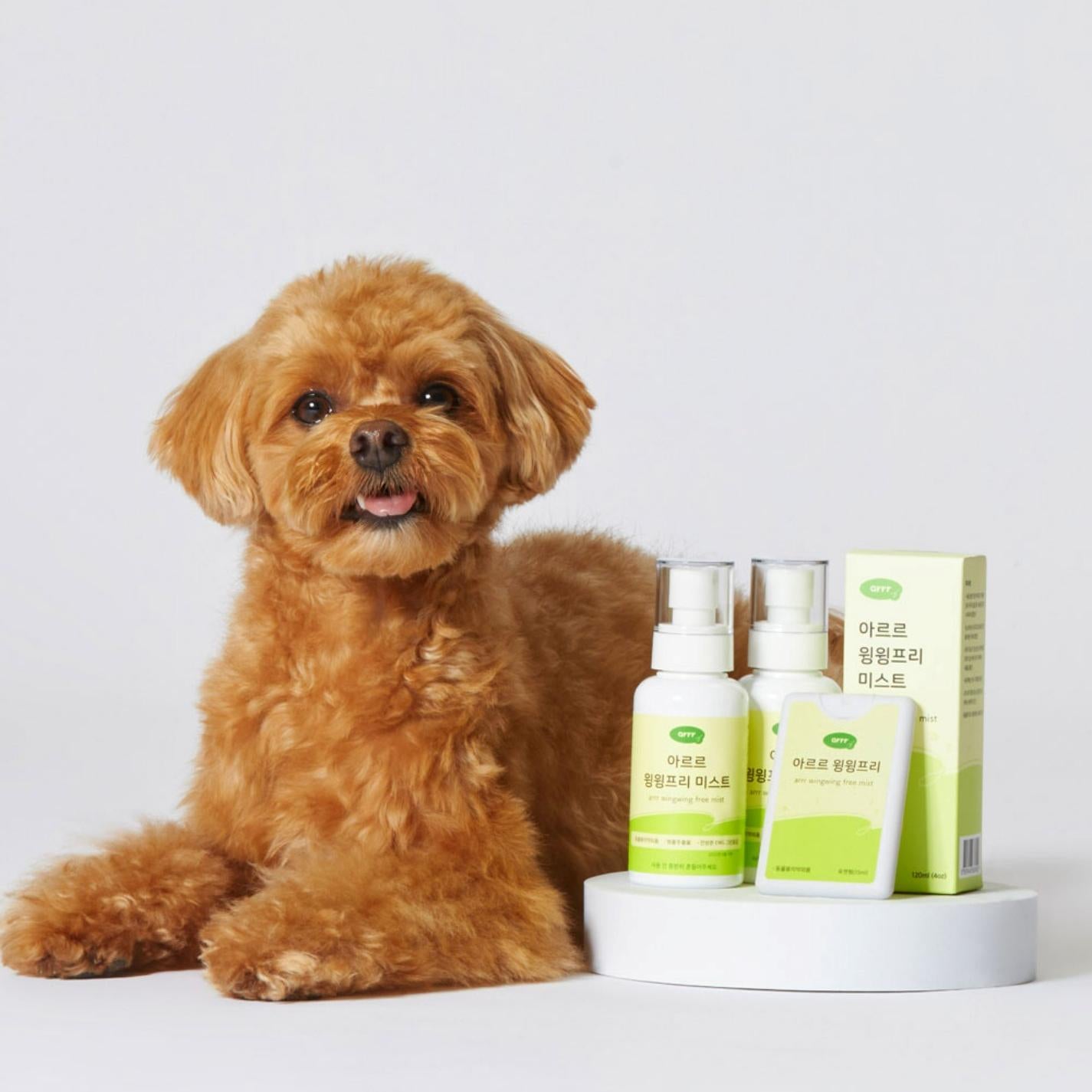 arrr Dog outdoor walking anti mosquitoes, insect repellent spray with natural ingredients