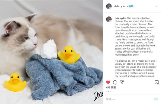 Made with safe ingredients for your beloved pets | Waterless Bubble Cleanser Review by dale.ryden