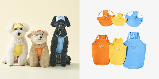 Keep Your Furkid Stylish and Cool Like a Pro in Hot Weather with Heart Logo Tank Tops and Sun Caps