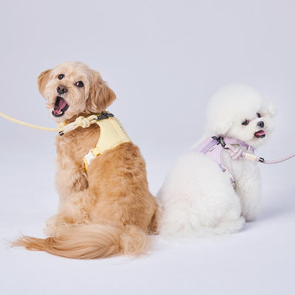 Arrr bouncing dog harness in 2 colours, butter yellow and lily lavender. Best dog harness design with stretch band and adjustable straps. 