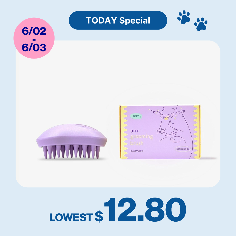 Grooming Brush