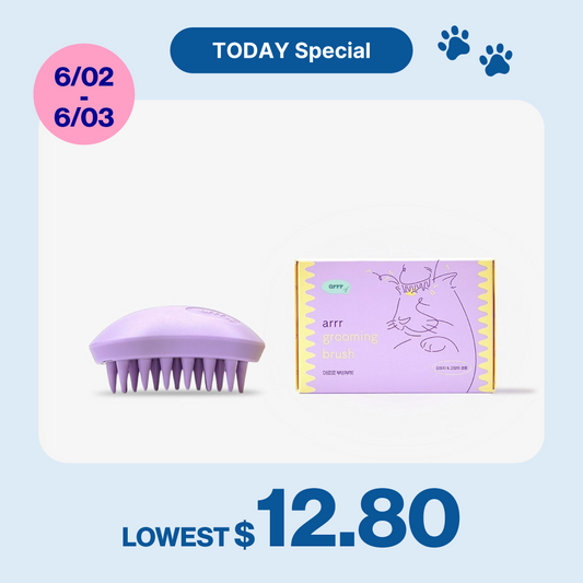 Grooming Brush