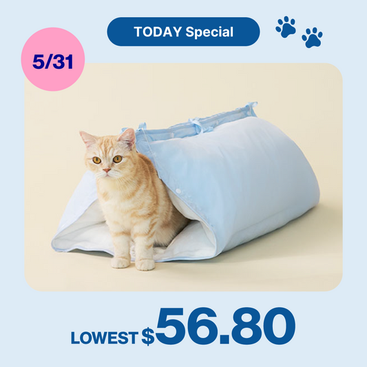 Kimbap Tunnel Bed | Limited stock