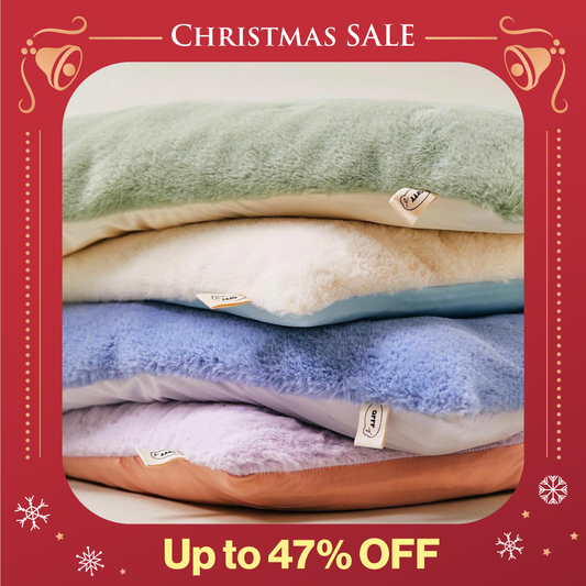 Sleeping Blanket | Blanket Cover