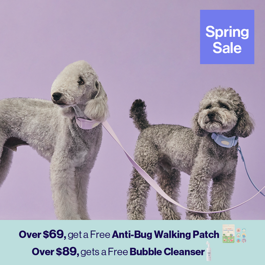 myfit Cushion Buffer Collar