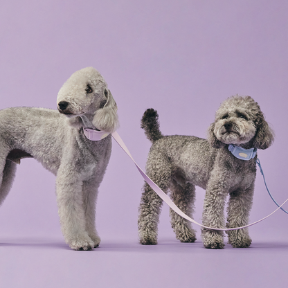 myfit Cushion Buffer Collar