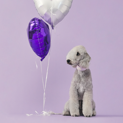 myfit Cushion Buffer Collar